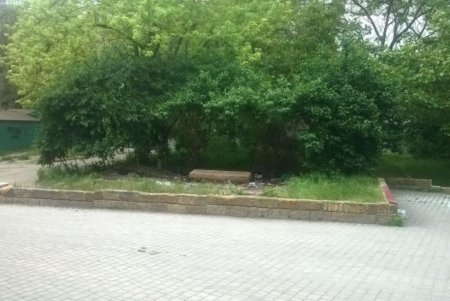 За неделю в городе демонтировали 28 незаконно размещенных элементов торговли (фото)