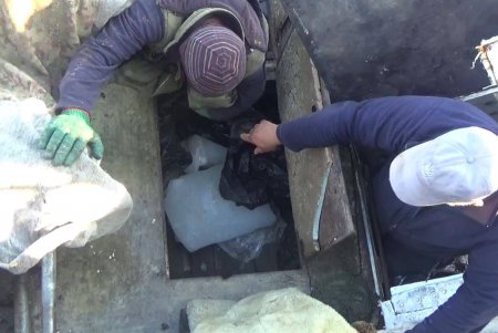 В районе острова Змеиный украинские рыбаки нарушили границу