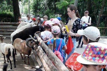 В Одессе начали свою работу 120 пришкольных лагерей (фото) 