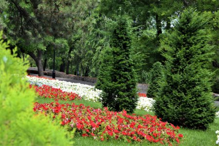 Одессу украсят 230 подвесных ваз с цветами (фото)