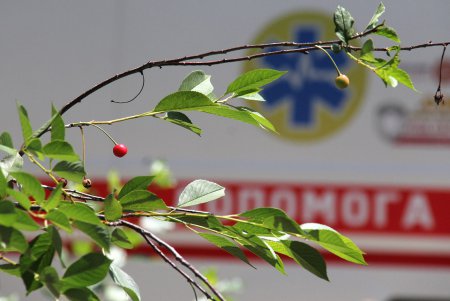 Одесская инфекционка: строительство нового и возрождение старого (фоторепортаж) 
