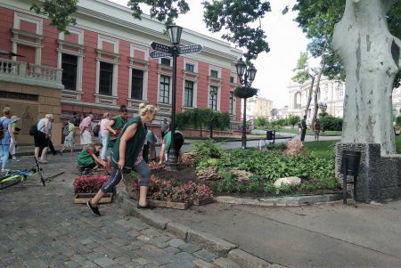 Клумбы возле Оперного театра украсили более 3500 цветов (фото)