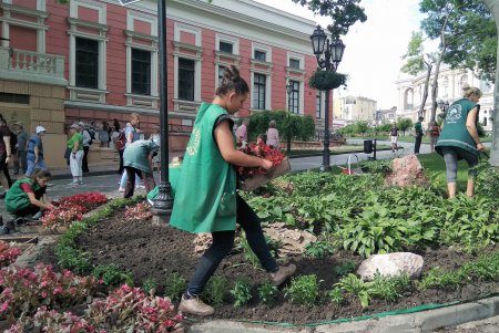 Клумбы возле Оперного театра украсили более 3500 цветов (фото)