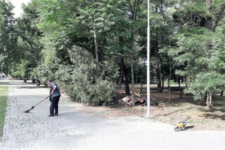 Клумбы возле Оперного театра украсили более 3500 цветов (фото)