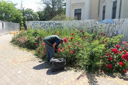 Клумбы возле Оперного театра украсили более 3500 цветов (фото)