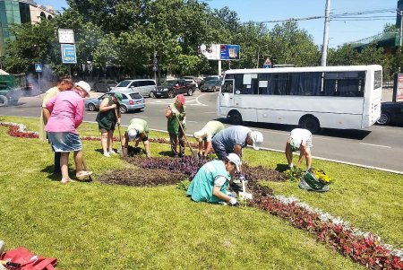 Клумбы возле Оперного театра украсили более 3500 цветов (фото)