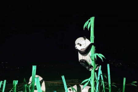 В течение двух месяцев в Преображенском парке будет проходить уникальный световой фестиваль (фото)