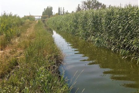 Коммунальщики очищают Румынский и Куяльницкий каналы и городские коллекторы (фото) 