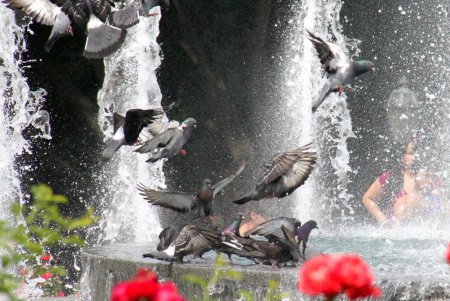 Где и как можно спрятаться от одесской жары (фоторепортаж)  