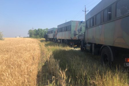 К поиску пропавшей девочки в Ивановском районе подключена авиация (фото, видео)