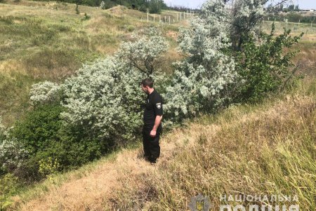 К поиску пропавшей девочки в Ивановском районе подключена авиация (фото, видео)