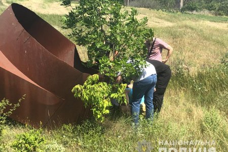 К поиску пропавшей девочки в Ивановском районе подключена авиация (фото, видео)