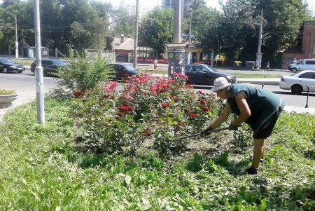 В жару и засуху коммунальщики регулярно поливают растения во всех районах Одессы (фото)