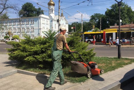В жару и засуху коммунальщики регулярно поливают растения во всех районах Одессы (фото)