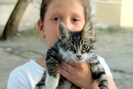Старая Одесса: переулок Ляпунова (фоторепортаж) 