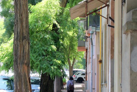 Старая Одесса: переулок Ляпунова (фоторепортаж) 