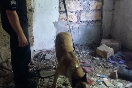 Пропавшую в Ивановке девочку ищут более 250 правоохранителей: в том числе и кинологи с собаками, натренированными на поиск трупов (фото)