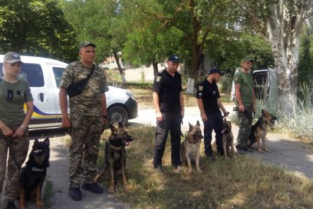 Пропавшую в Ивановке девочку ищут более 250 правоохранителей: в том числе и кинологи с собаками, натренированными на поиск трупов (фото)