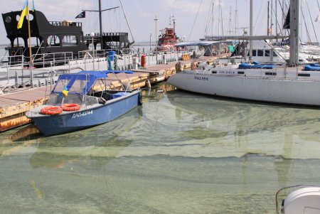 Черное море зеленого цвета (фоторепортаж)
