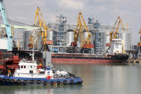 Черное море зеленого цвета (фоторепортаж)
