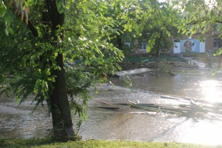 Ливень подтопил два десятка домов в Арцизском районе (фото)