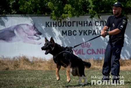 Четвероногие полицейские: овчарки с лабрадорами успешно ищут в Одессе оружие и наркотики (фото, видео)