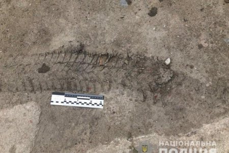 В Раздельнянском районе убили пенсионера ради микроавтобуса: один из преступников в розыске (фото)