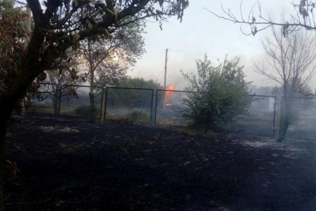 В Одесской области горит курорт: пока без жертв (фото) 