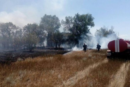 В Одесской области горит курорт: пока без жертв (фото) 