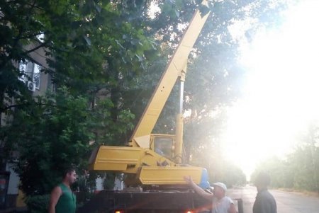 Разбушевался: шквальный ветер повалил в Одессе более 20 деревьев (фото)