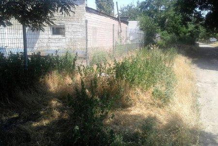 Коммунальщики поддерживают чистоту улиц и дворов (фото)