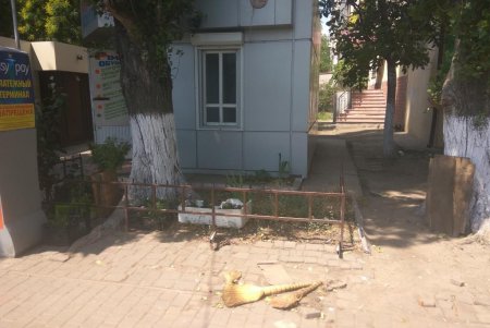 Улицы города освобождают от незаконных киосков (фото)