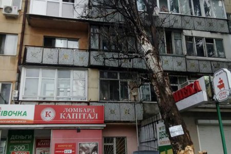 Коммунальщики ликвидируют последствия непогоды в Одессе (фото)