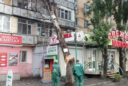 Коммунальщики ликвидируют последствия непогоды в Одессе (фото)