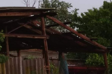 Непогода в Одесской области: поваленные деревья, сорванные крыши и обрыв электропроводки (фото, видео)