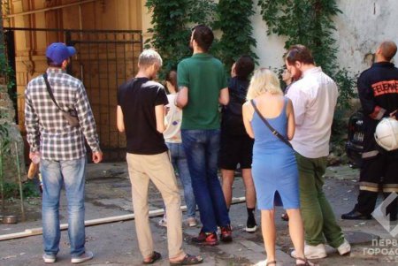 На Греческой спасли кота, который несколько суток просидел на кондиционере (фото, видео)