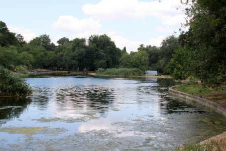 Прогулка по Дюковскому парку (фоторепортаж)