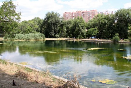 Прогулка по Дюковскому парку (фоторепортаж)