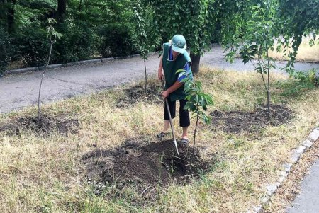 Озеленители пропололи и полили цветники во всех районах города (фото)