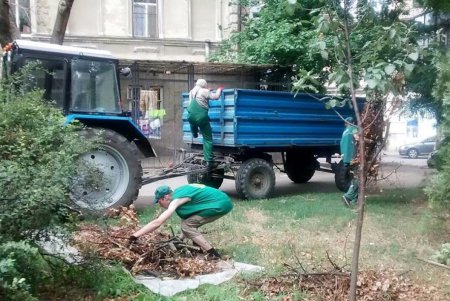 Озеленители пропололи и полили цветники во всех районах города (фото)