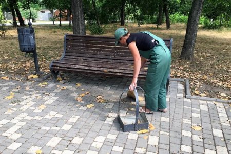 Озеленители пропололи и полили цветники во всех районах города (фото)