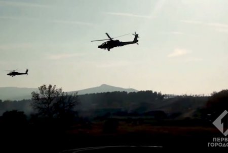 Учения «Си Бриз-2019»: украинские морпехи могут стать участниками тактической группы «Хелброк» (фото) 