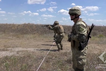 Учения «Си Бриз-2019»: украинские морпехи могут стать участниками тактической группы «Хелброк» (фото) 