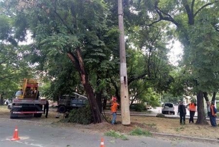 Коммунальщики заменили аварийные опоры наружного освещения (фото)