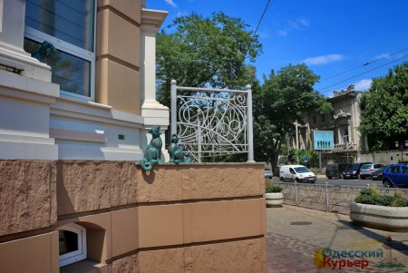 Возле Музкомедии поселились «поющие» коты (фото)