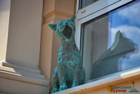 Возле Музкомедии поселились «поющие» коты (фото)