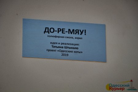 Возле Музкомедии поселились «поющие» коты (фото)