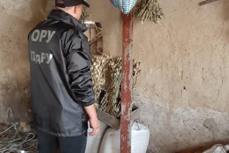 «Огородник» вырастил наркоплантацию в Захарьевском районе (фото)