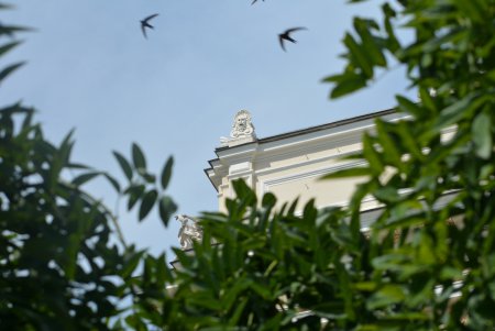 Прогулка по летней Одессе (фоторепортаж)
