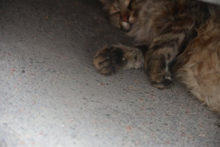 Прогулка по летней Одессе (фоторепортаж)